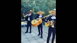 Vihuela! Mariachi Víctorio’s de Jalisco ??