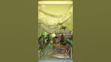 Dynamic Machines Challenge