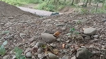 WPL E1 @WCPRCModelsCraft off road testing part 1