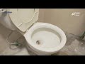 Limpieza de sarro en WC con Sarriprol y limpieza y desinfección con Germilimón
