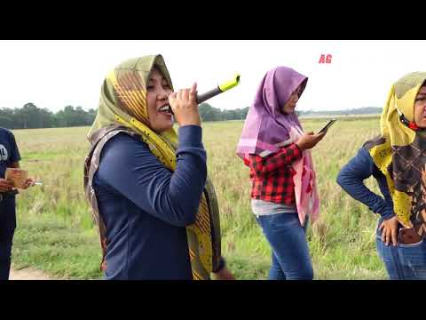 ANDI PUTRA 2 LOS DOL VOC MELOV DESA JATIREJA KP SUKAMANEUH KEC COMPRENG SUBANG