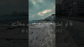 سند العمر فارس قطرية