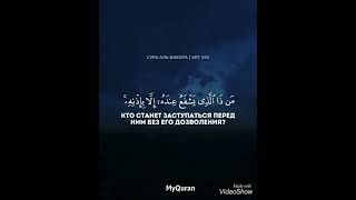 Красивое чтение Корана чтец:Анас аль Имади сура:Аль-Бакара аят:255 #quran #shorts
