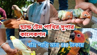 Naihati Bird Market | java, cockatiel, love bird,sun conure all brid price update | PART 2