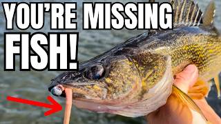 STOP Making These 5 Live Bait Mistakes RIGHT NOW!