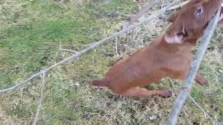 Patterdale Keeping Fit