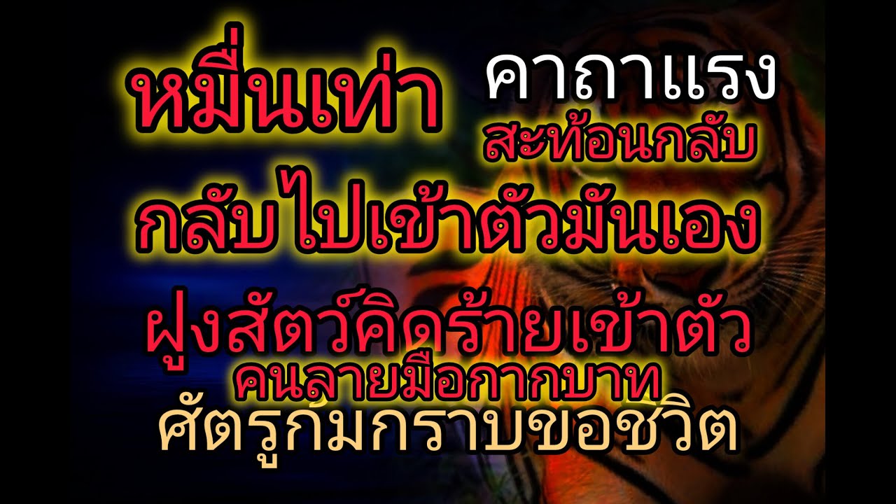 คาถาเเรง!! หมื่นเท่า สท้อนกลับกลับไปเข้าตัวคนทำ ฝูงสัตว์คิดร้ายเข้าตัว คนลายมือกากบาท ศัตรูก้มกราบขอ