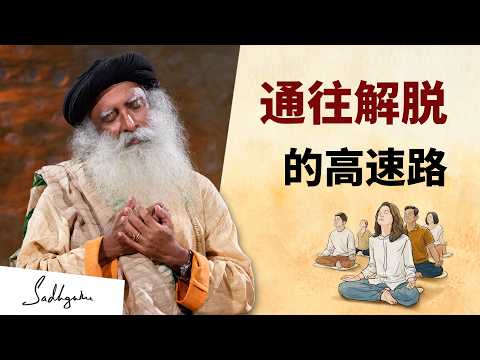通往解脱的高速路