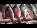 Грузия, сколько стоит поесть, рыбный рынок Батуми. Отзывы.