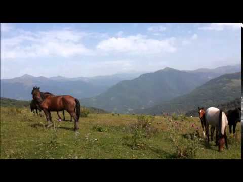 Mama Aleksandre Bolkvadze-თიანეთი. კოკორაულის მთა.