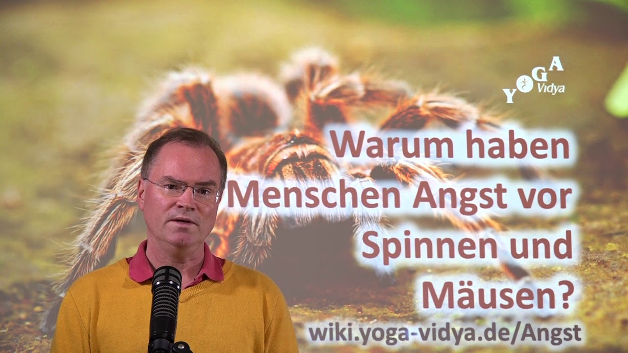 Haben Mause Angst Vor Menschen
