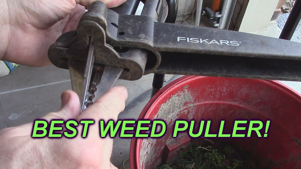 BEST Weed Pulling Tool Comparison 