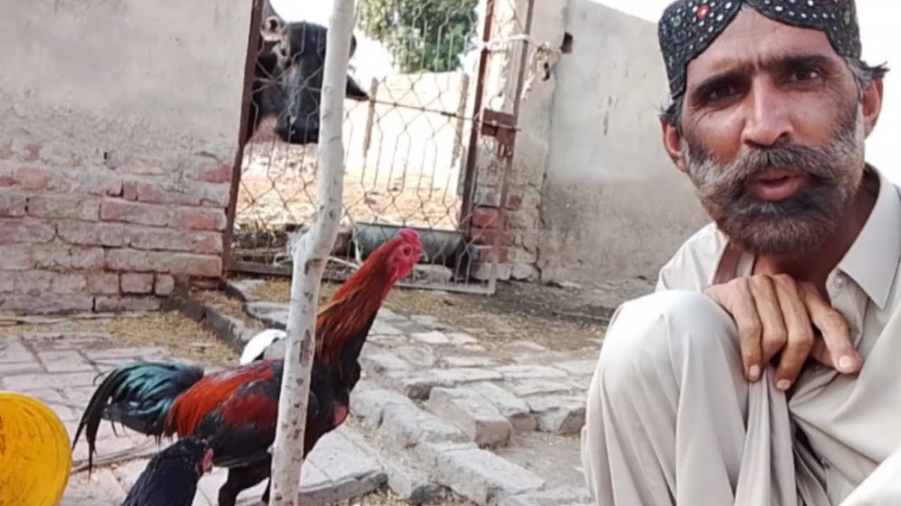 Yah video shaukeen ke liye tohfa