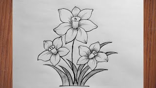 Daffodil Flower Drawing | How To Draw A Daffodil | Flower Design Drawing | Flower Art Daffodil Flower Drawing | How To Draw A Daffodil | Flower Design Drawing | Flower Art