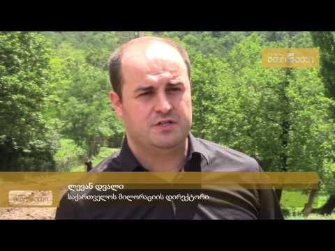 მარტვილში სტიქიისგან მიყენებული ზიანის სალიკვიდაციო სამუშაოები მიმდინარეობს