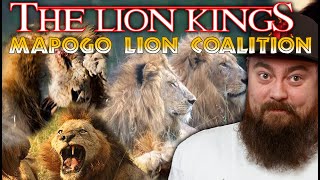 The Lions That Hunted Other Lions