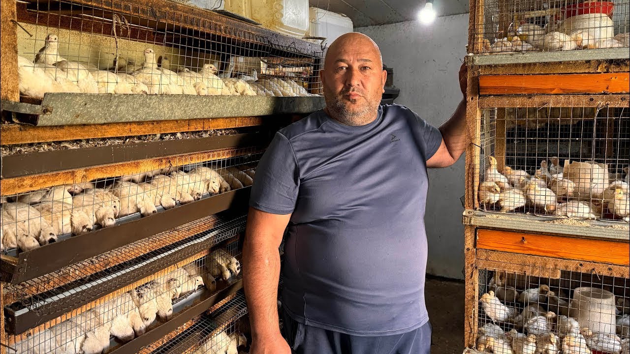 Ужин из перепелов на костре | Традиционная готовка в лесу