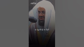 ترتيل بصوت رخيم من سورة الذاريات | سعود الشريم
