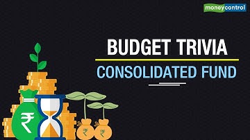 What Is Consolidated Fund?