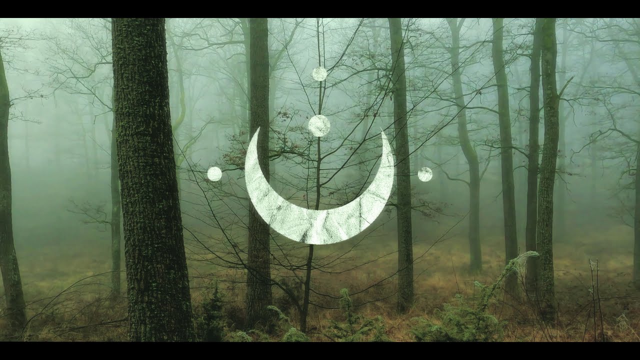 Watch FOXCULT // Haunted (Official Audio) on YouTube Watch FOXCULT // Haunted (Official Audio) on YouTube
