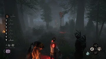 Weird bug in 2v8 Dead by Daylight