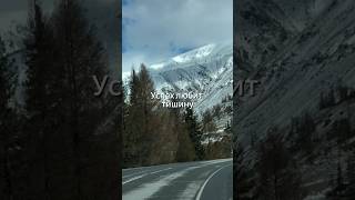 Успех любит тишину#мудрость#психология#зависть#тишина#жизненныйурок#откровенность#мотивация#успех