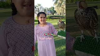 V20 🇦🇪 الأجمل هنا الصقارة الإماراتية الطفلة سلامة وصقرها الجميل