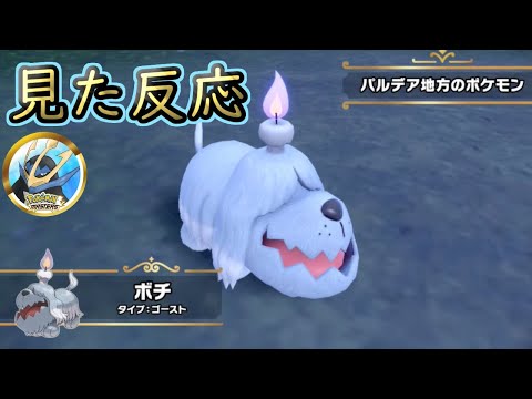 ポケモンSVの新種のゴーストポケモンを見た反応
