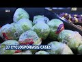 Cyclosporiasis cases rise to 37 in Boone County