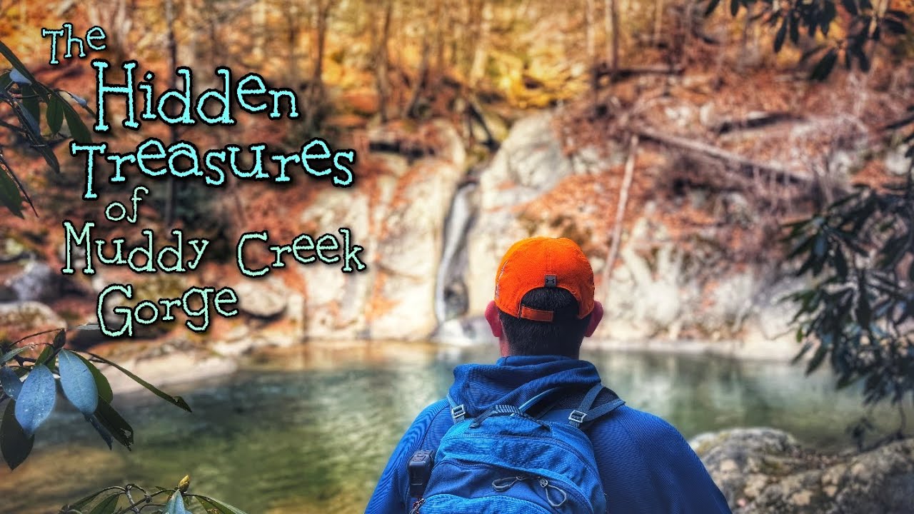 You Won't Believe The Hidden Gems We Found in Muddy Creek! - YouTube