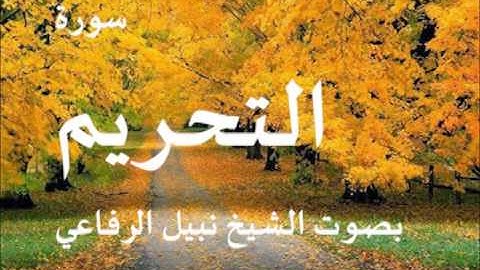 سورة التحريم بصوت الشيخ   نبيل الرفاعي 66