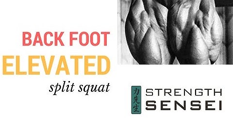 Split Squats | Proper Form for the Back Foot Elevated Split Squat | Charles R. Poliquin