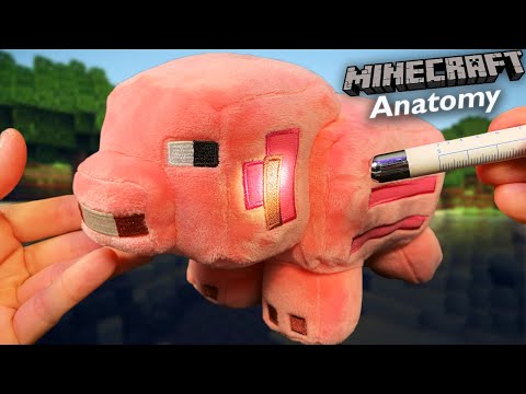 [ASMR] The Anatomy of a Minecraft Pig 🐷 | Medical ASMR, Layered Sounds
