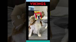 Funny Stuff - Wtf Fail Moments - Vikings Dogs 