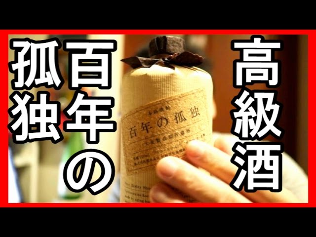 早い者勝ち！百年の孤独 焼酎　未開封　製造H7.10.23 早い者勝ち！百年の孤独 焼酎 未開封 製造H7.10.23 焼酎