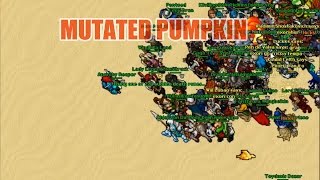 Mutated pumpkin - Tibia