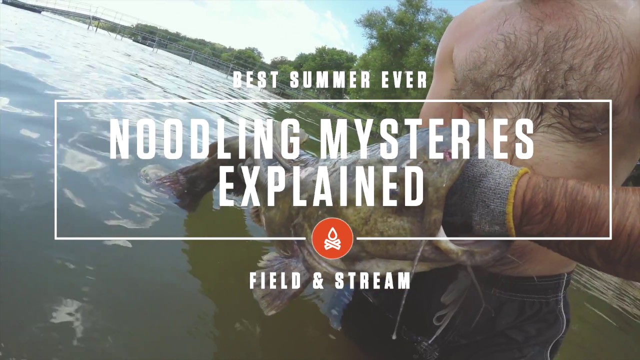 Catfishing Noodling—Explained YouTube