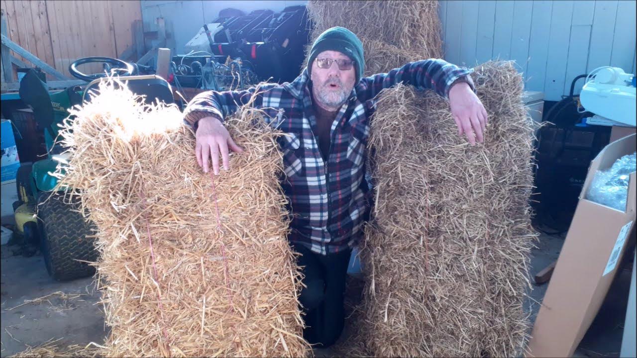 Straw Vs Hay For Garden Mulch & Compost. What Is the Difference? Why Is One  Potentially Harmful! 