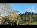 Natureza Floresta Atlântica Bahia Cidade de Itaju do Colônia Distrito de Itororó-BA Cachoeirinha