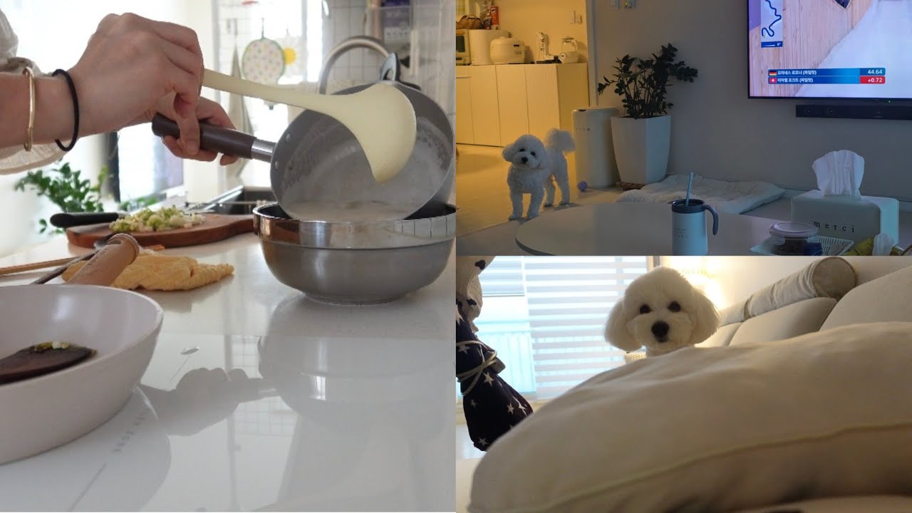 오랜만의 브이로그 | 대왕 말티푸 콩이와의 일상 |  아구찜에 혼술 | 한 살 먹으니 더 바쁘게 흘러갔던 시간들