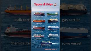 Types of Cargo Ships Explained | Container, Tanker, Bulk Carrier &amp; More 🚢 | Types of ships in world