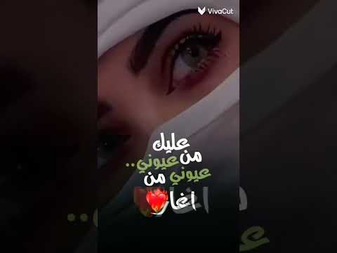 موبس الهوا غلاب الي يشوف عيونك داب احمد ستار