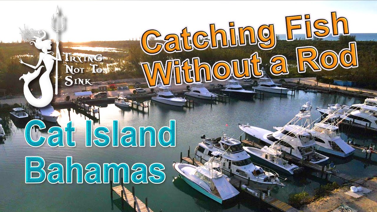 Catching Fish Without A Rod Cat Island Bahamas E192 YouTube catching-fish-without-a-rod-cat-island-bahamas-e192-youtube