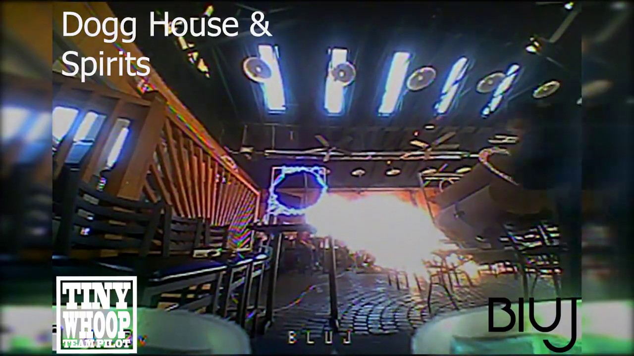 Spirits and the Dogg House YouTube