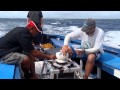 THE PACIFIC WAY STORY - LIFUKA: Rising Oceans Changing Lives