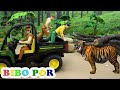 Bibo e amigos descobriram o Tigre gigante na floresta
