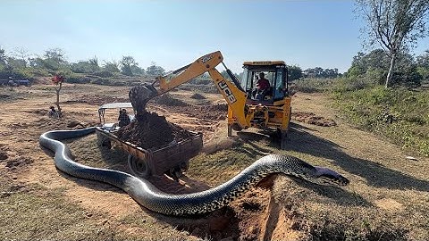 JCB 3dx xpert Loading Mud in Mahindra 475 JCB miti Khudai JCB Khudai work JCB cartoon #jcb #jcbvideo