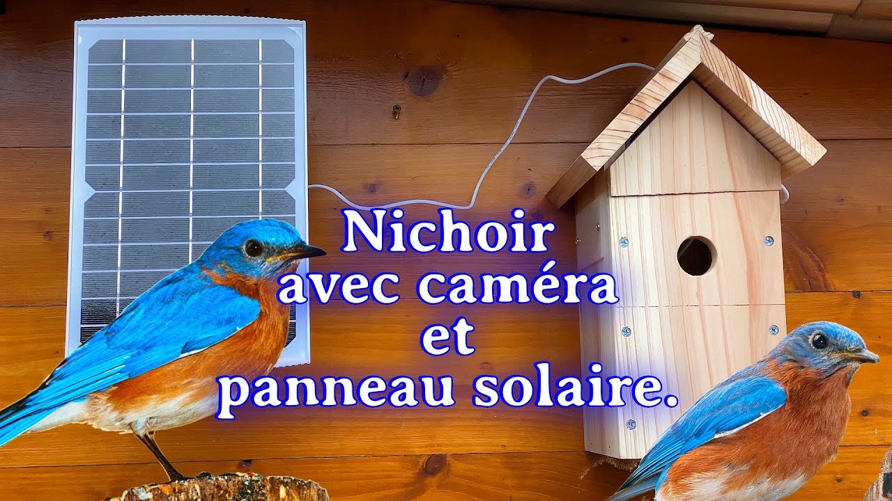 Nichoir avec caméra HD et panneau solaire 