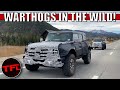 We Just Caught Ford Testing The BADDEST New Bronco Of Them All: The New Warthog!