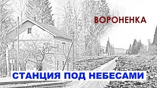 Вороненка. Станция под небесами